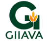 GIIAVA Feed
